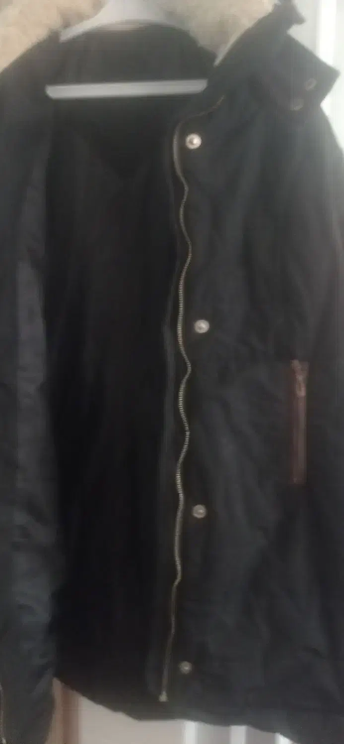 کاپشن زنانه در حد نو|لباس|اشتهارد, |دیوار