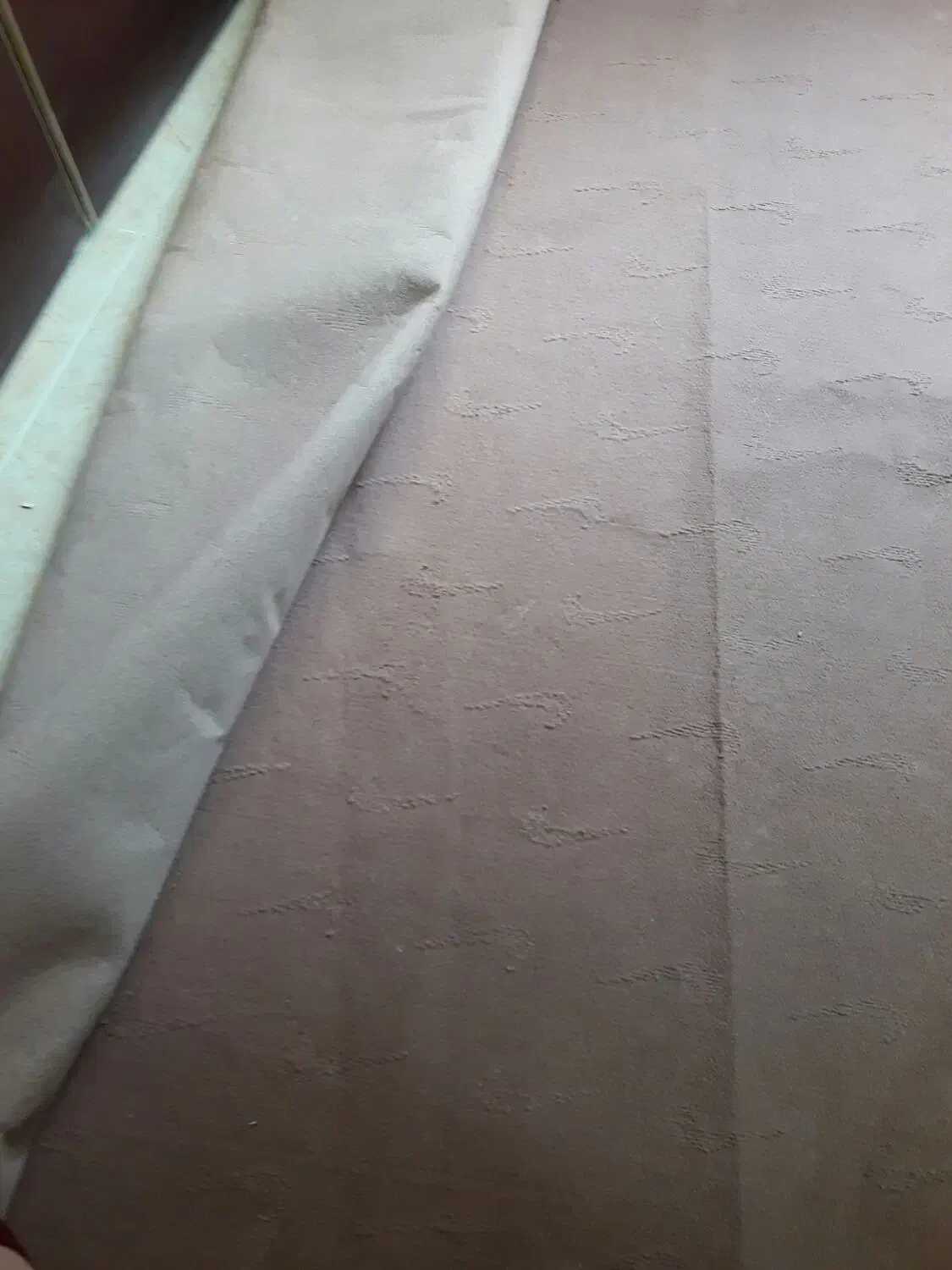 فروش موکت|موکت|رشت, فرزانه|دیوار