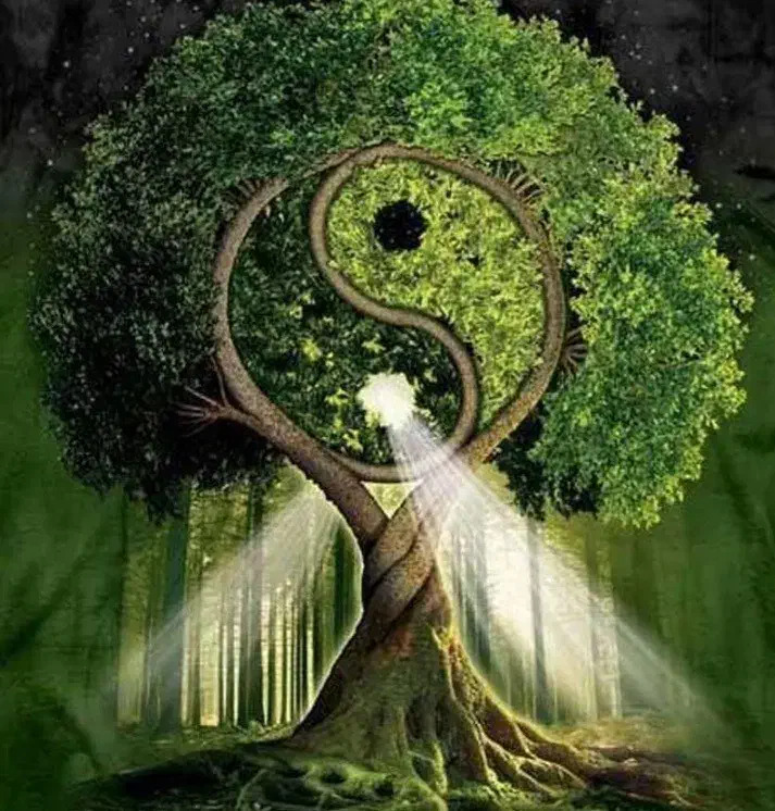 بهبود انرژی و فضای کار و منزل شما با کمک فنگ شوی|فعالیت داوطلبانه|تهران, بریانک|دیوار