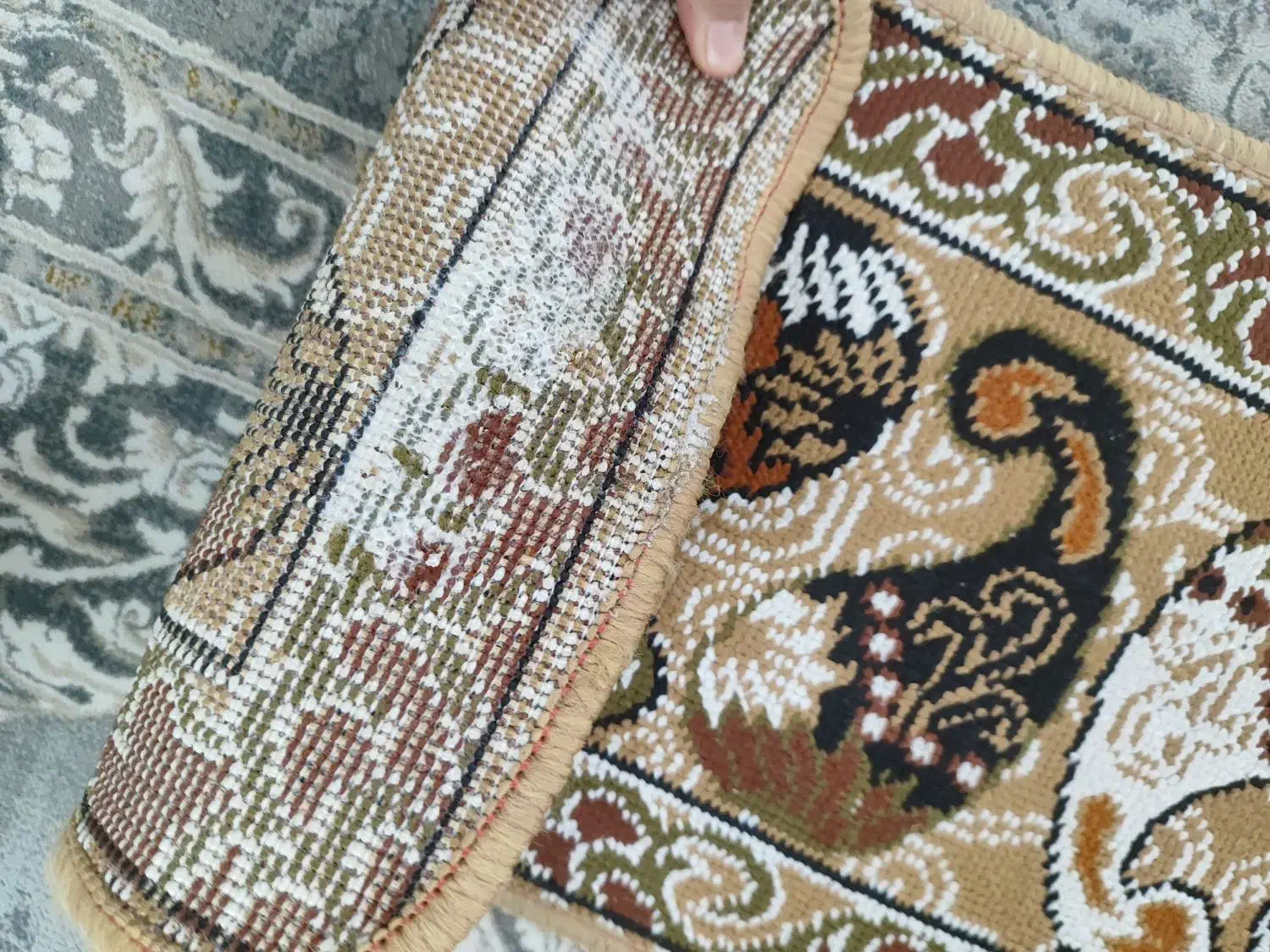 گلیم|گلیم، جاجیم، گبه|قم, ولیعصر|دیوار