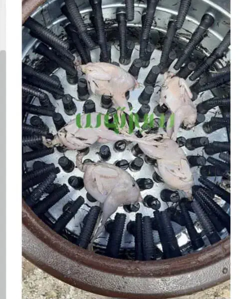 پر کن بلدرچین|ماشین‌آلات صنعتی|دلیجان, |دیوار