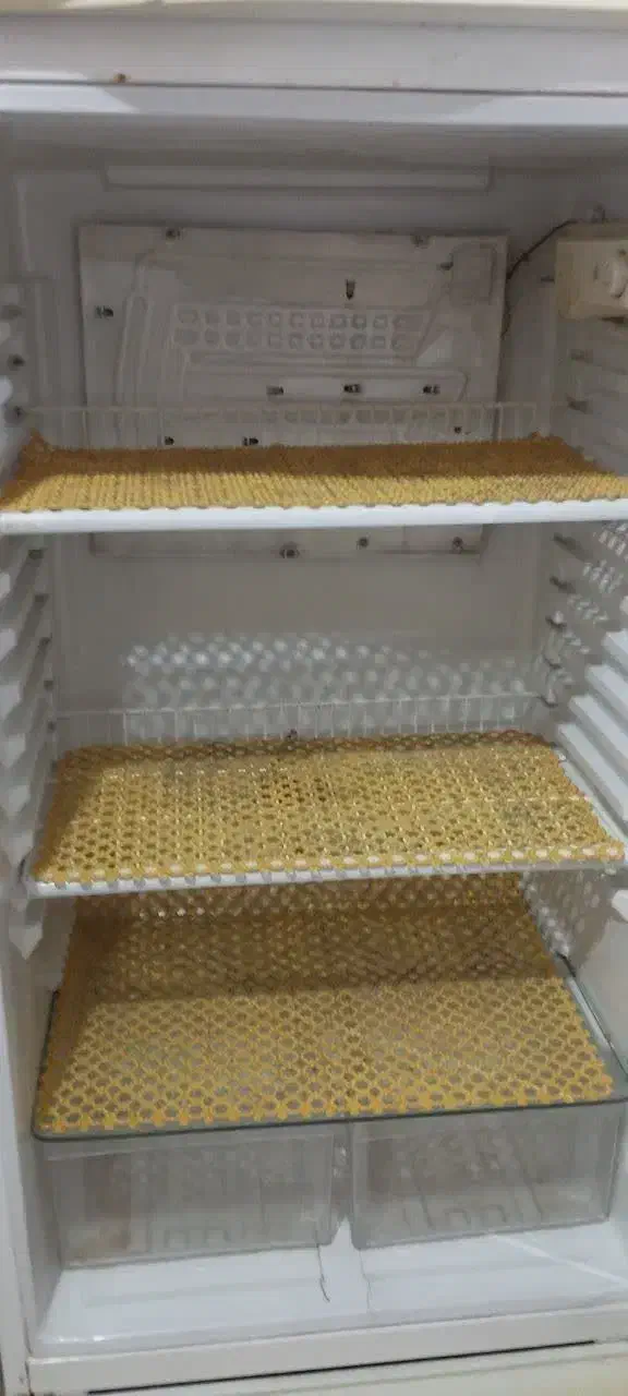 یخچال|یخچال و فریزر|بابل, |دیوار