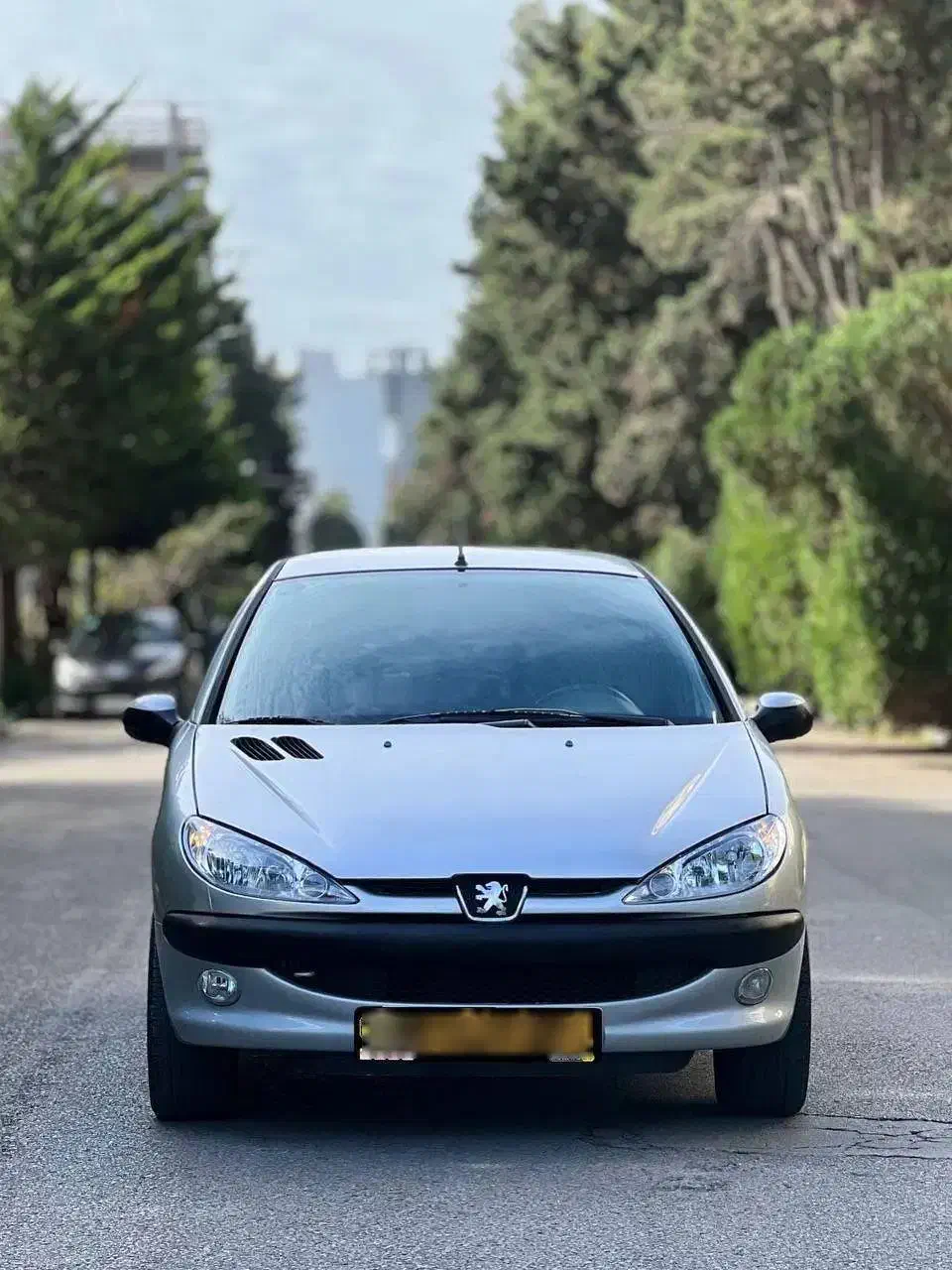 پژو ۲۰۶|خودرو سواری و وانت|محمودآباد, |دیوار