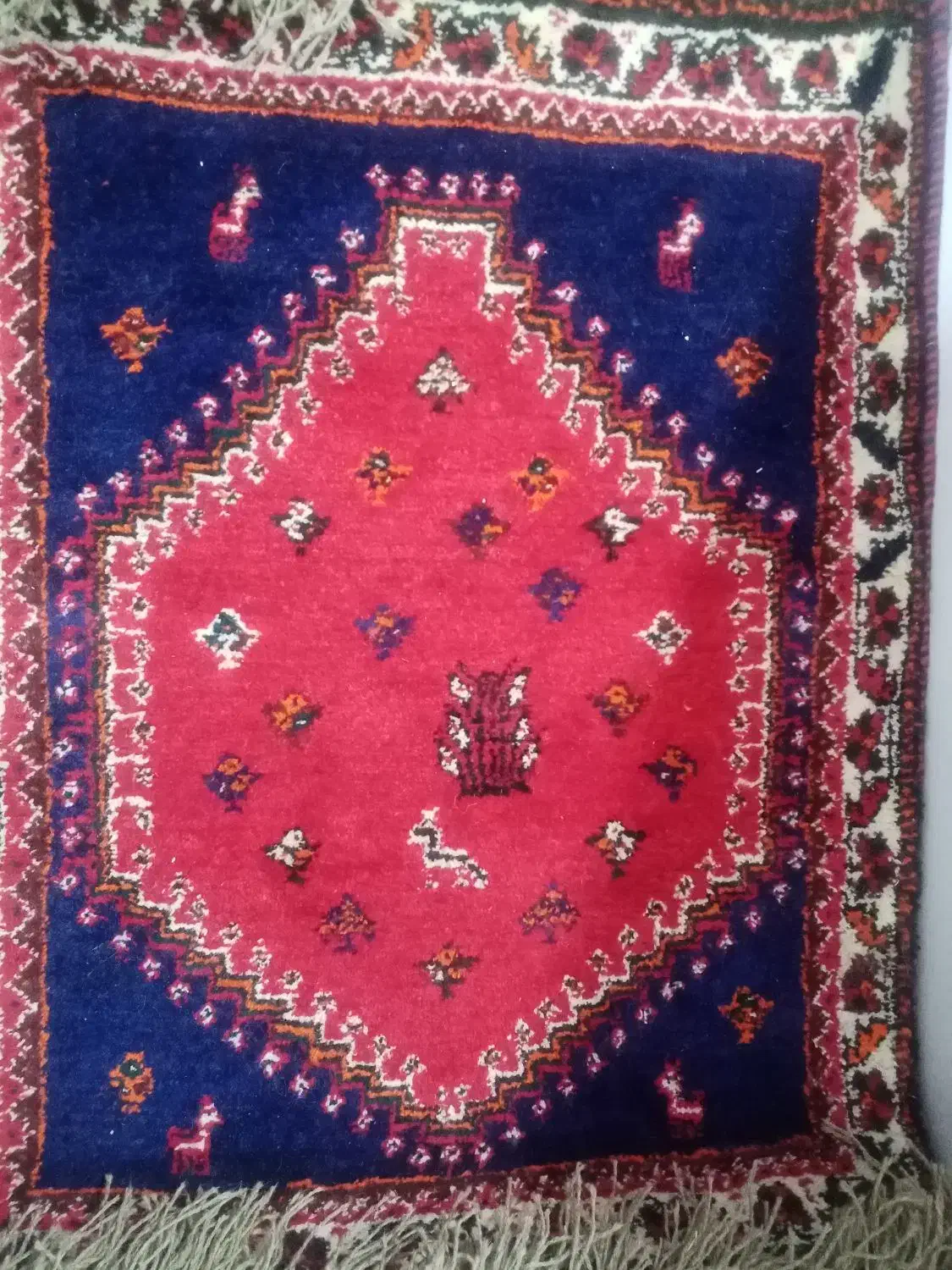 فرش دست بافت|فرش|شیراز, سلطان آباد|دیوار