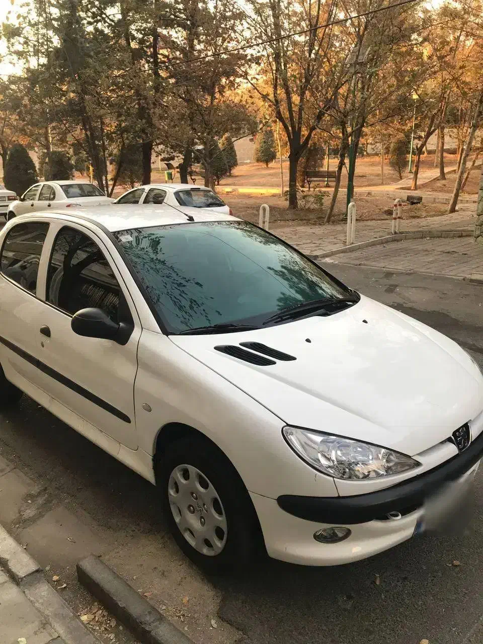 206تیپ2 سندتک برگ بابرگه کارشناسی|خودرو سواری و وانت|تهران, مینیسیتی (شهرک نفت)|دیوار