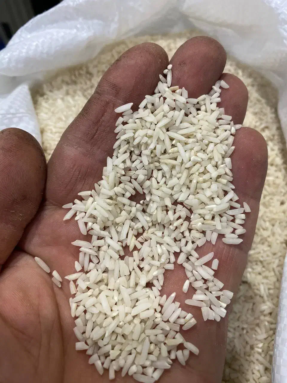 علی کاظمی محلی و سرلاشه هاشمی|خوردنی و آشامیدنی|محمدیه-قزوین, |دیوار