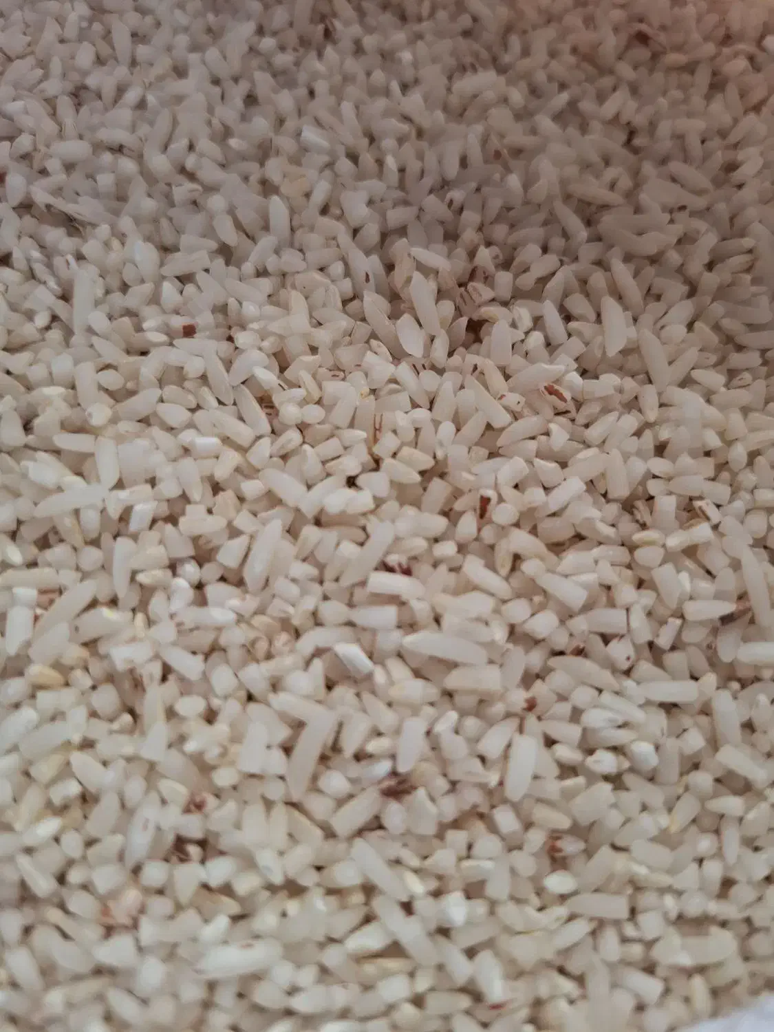 نیم دانه هاشمی|خوردنی و آشامیدنی|چابکسر, |دیوار