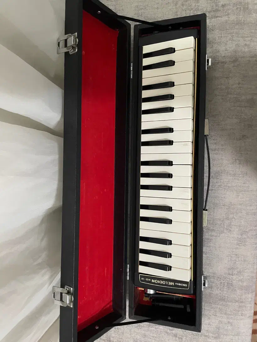 ملودیکا|سازهای بادی|مشهد, راه آهن|دیوار