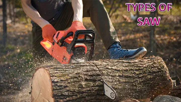 قطع انواع درختان باغی و غیر باغی|خدمات باغبانی و درختکاری|نیشابور, هفده شهریور|دیوار