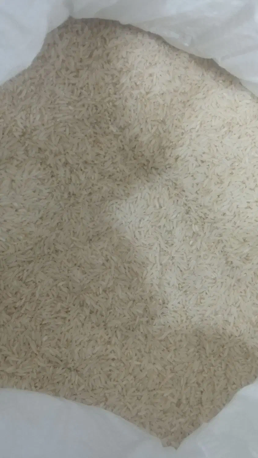 برنج ایرانی|خوردنی و آشامیدنی|بردسکن, |دیوار