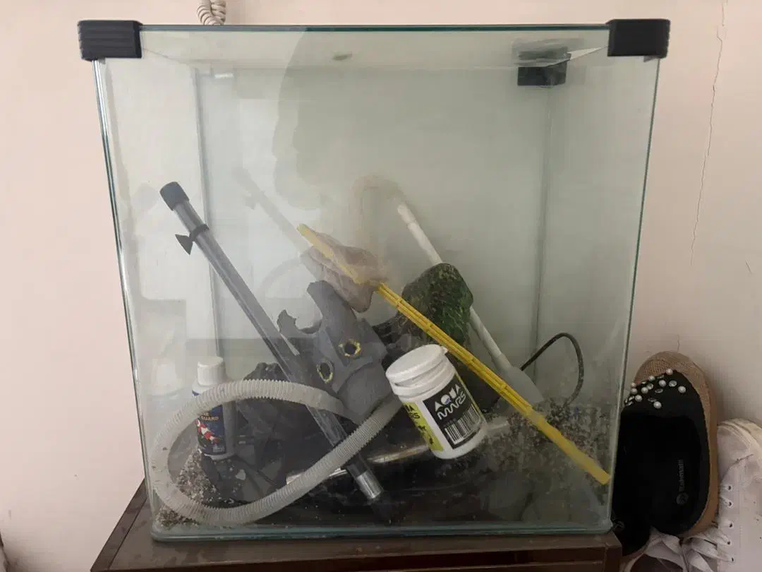 اکواریوم با لوازم خوب|ماهی|اندیشه, اندیشه فاز ۶|دیوار