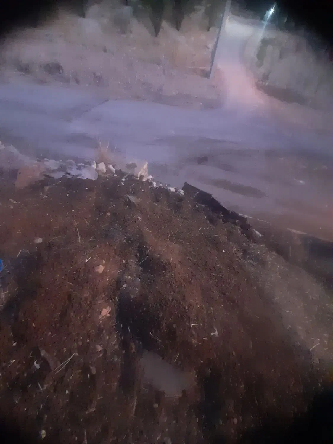 کود حیوانی(گوسفندی)|خدمات باغبانی و درختکاری|یاسوج, |دیوار