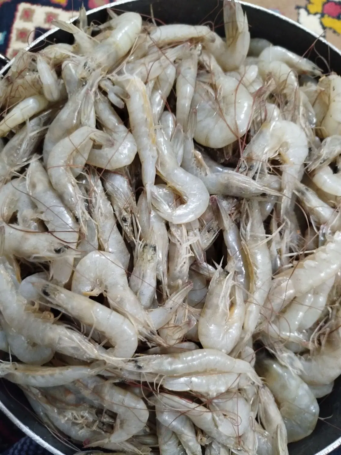 میگو|خوردنی و آشامیدنی|سعدآباد, |دیوار