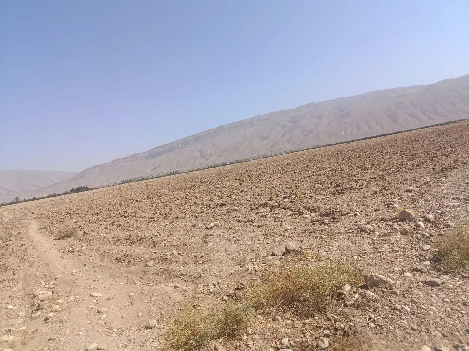 فروش زمین|فروش دفتر صنعتی، کشاورزی، تجاری|فسا, |دیوار