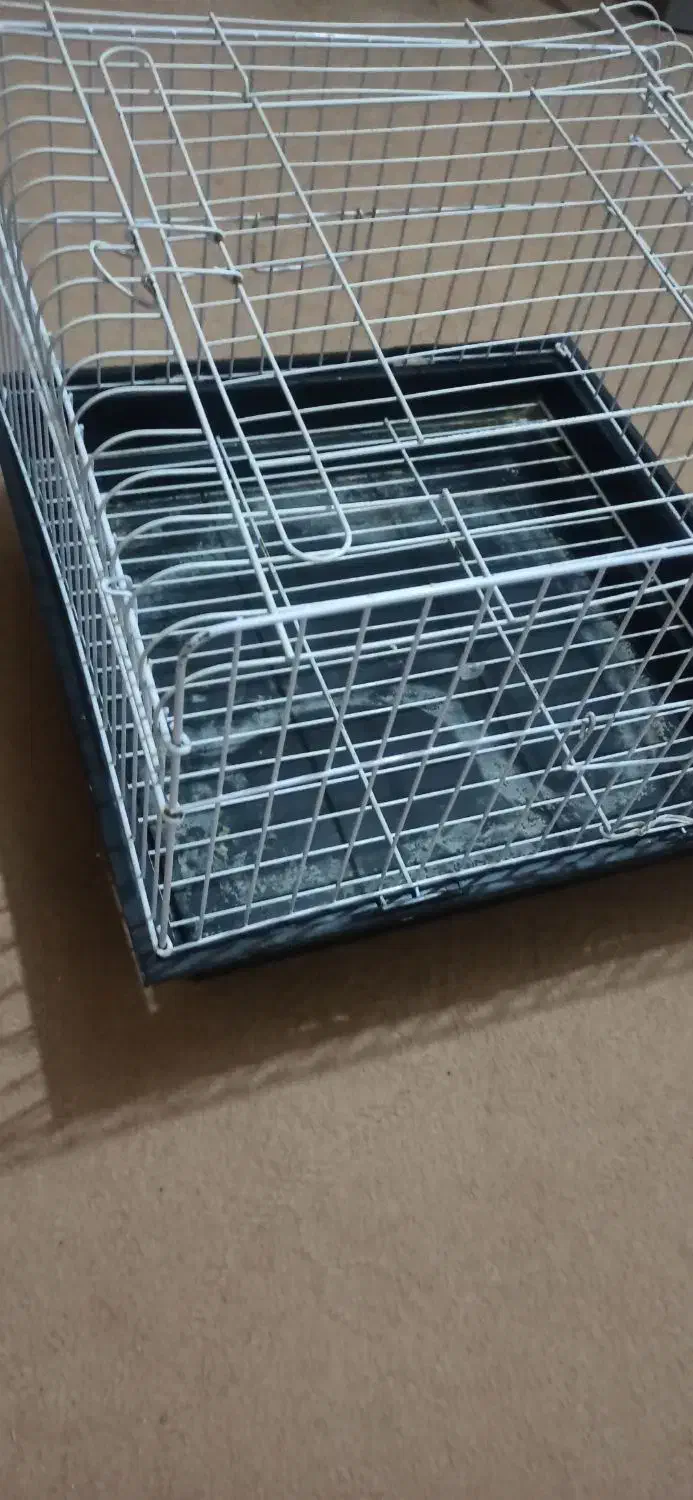 قفس|لوازم جانبی حیوانات|اصفهان, بهارستان|دیوار