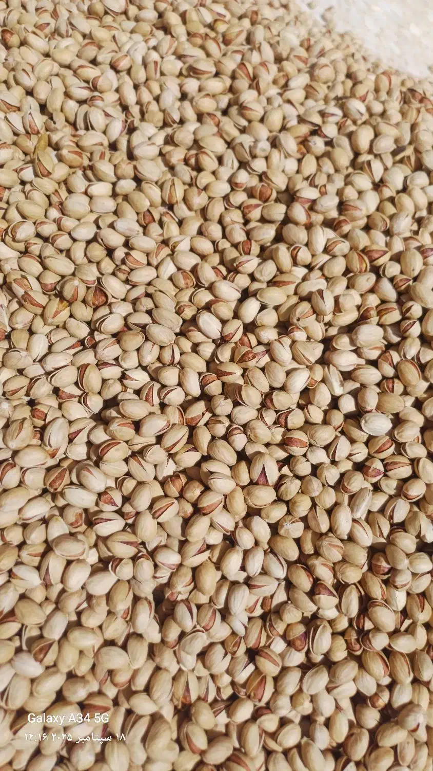 پسته کالک ، دهن بست،  روآبی|خوردنی و آشامیدنی|شیراز, شاهچراغ|دیوار