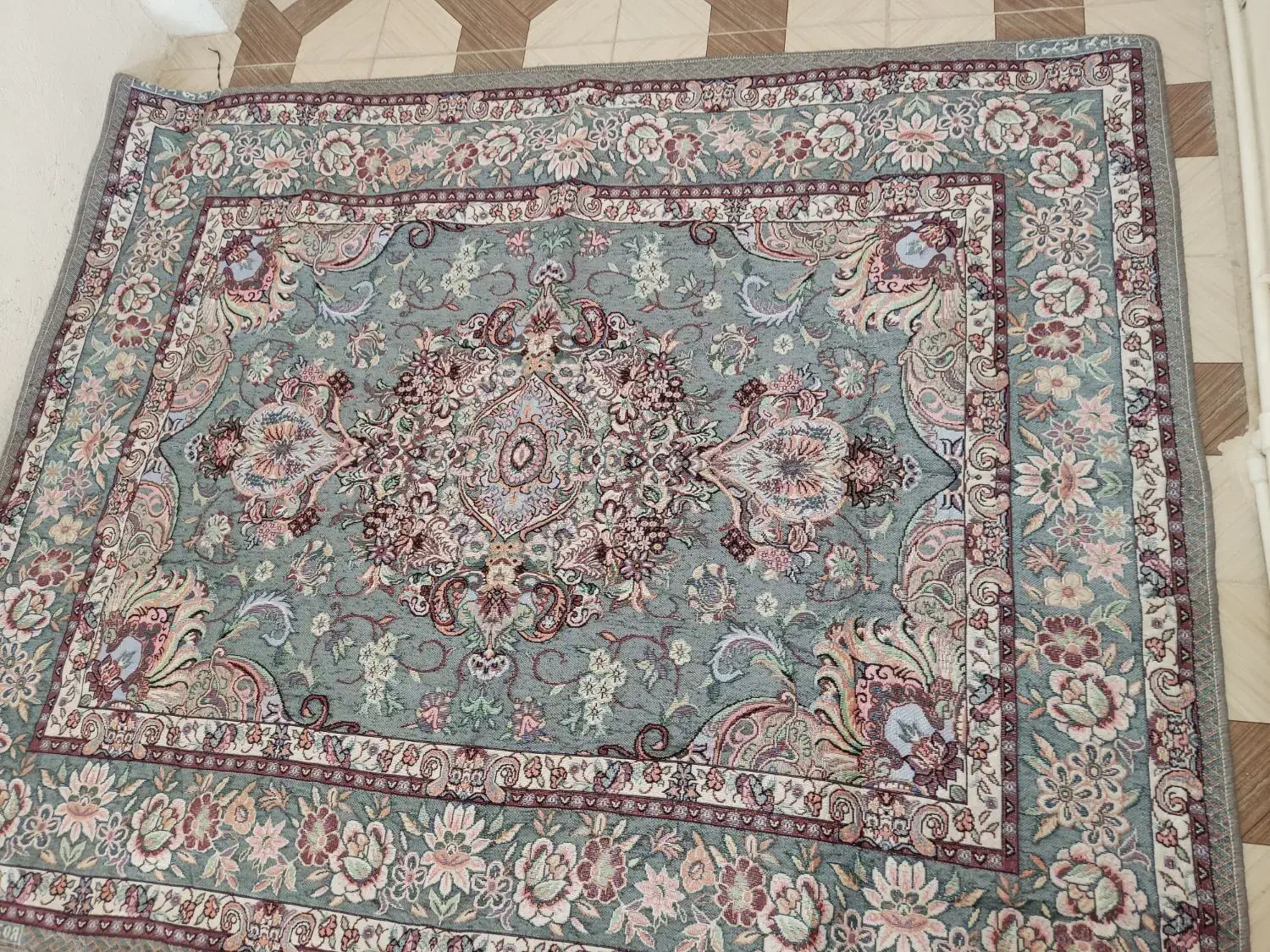 غاز|پرنده|سرپل ذهاب, |دیوار