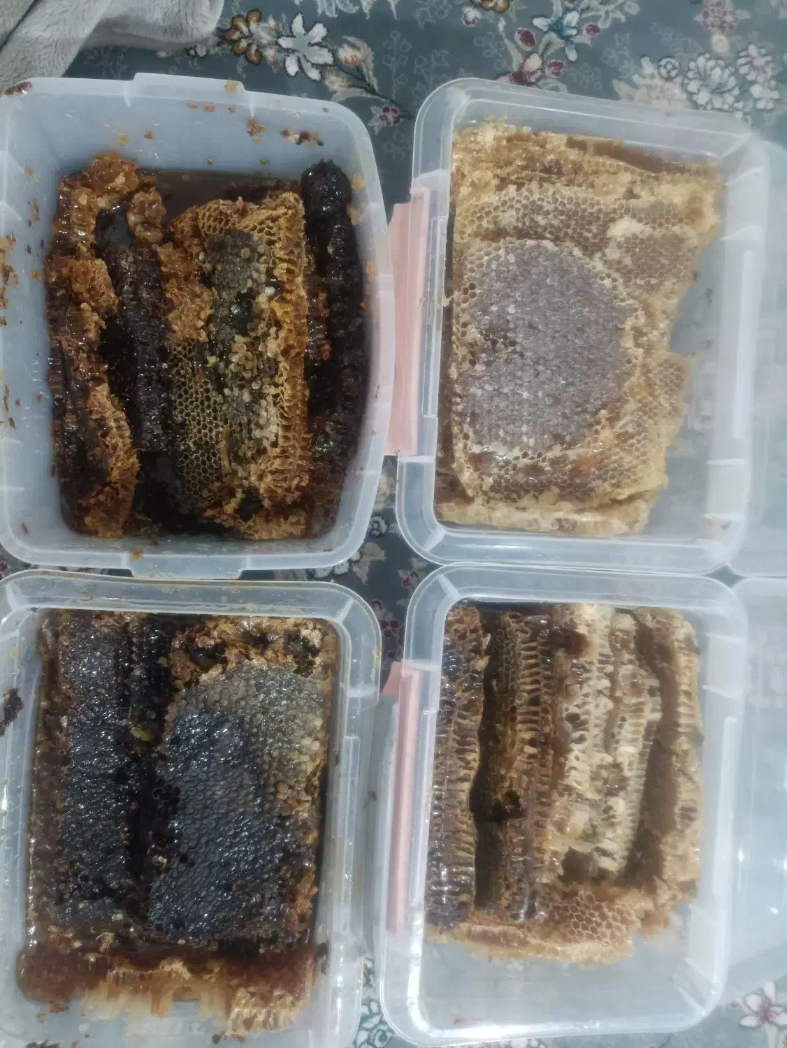 عسل طبیعی کوهستان|خوردنی و آشامیدنی|جوانرود, |دیوار