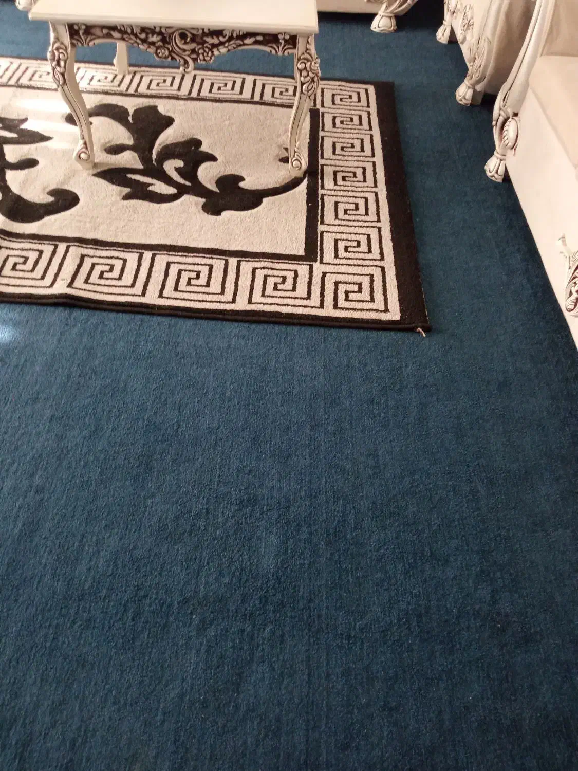 پالاز موکت|موکت|باشت, |دیوار