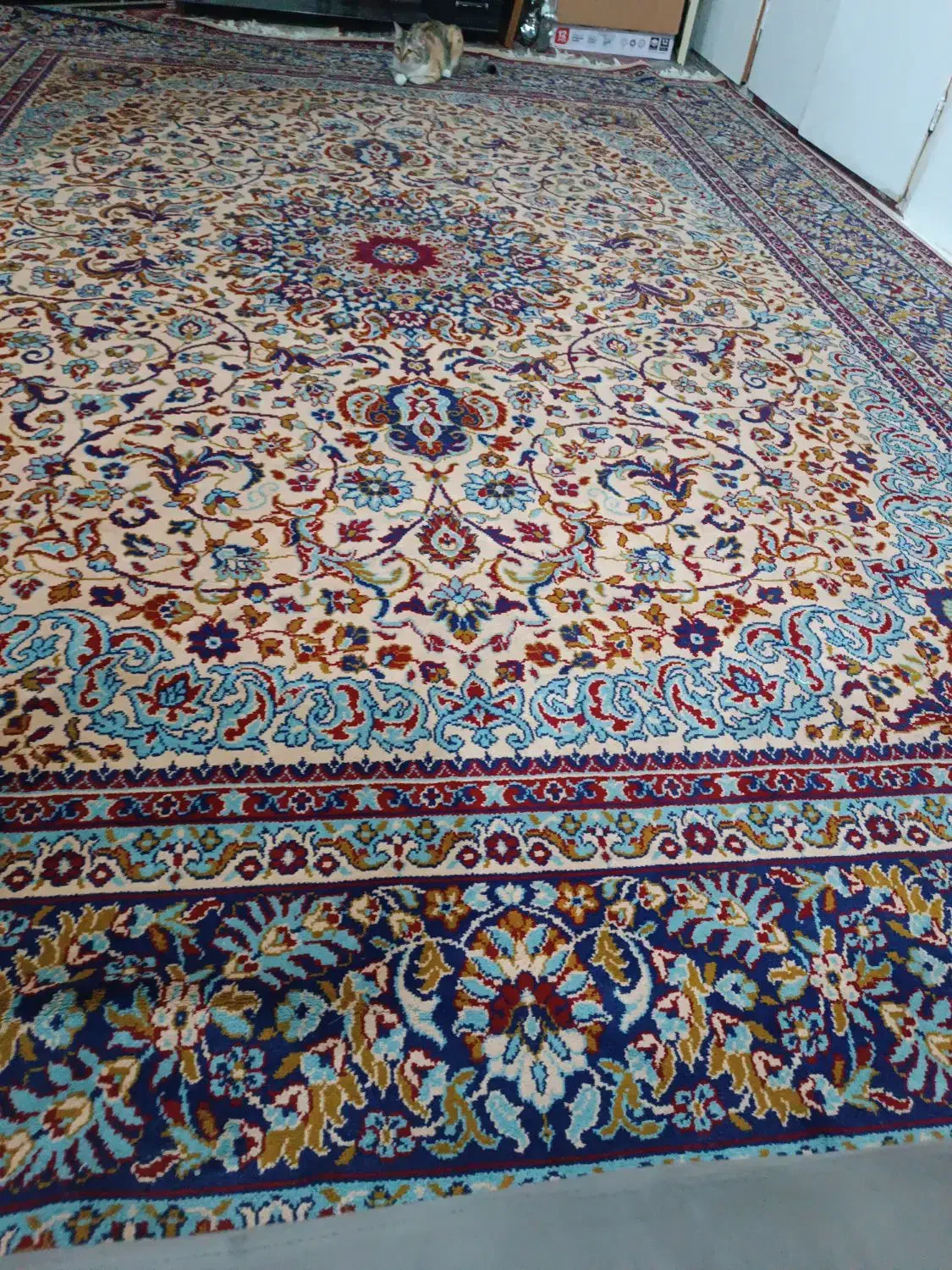 فرش|فرش|بهارستان, |دیوار