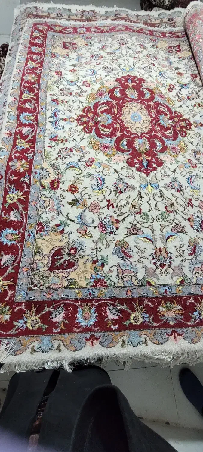 فرش دستباف کاشمر|فرش|مراغه, |دیوار