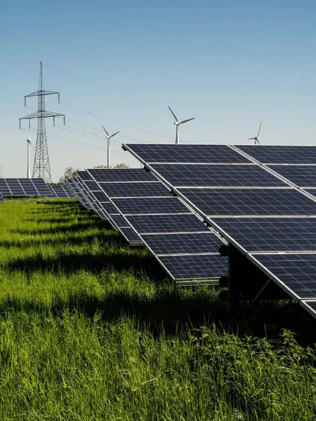 نیازمند کارگر برای احداث نیروگاه خورشیدی|استخدام صنعتی، فنی، مهندسی|فیروزآباد (فارس), |دیوار