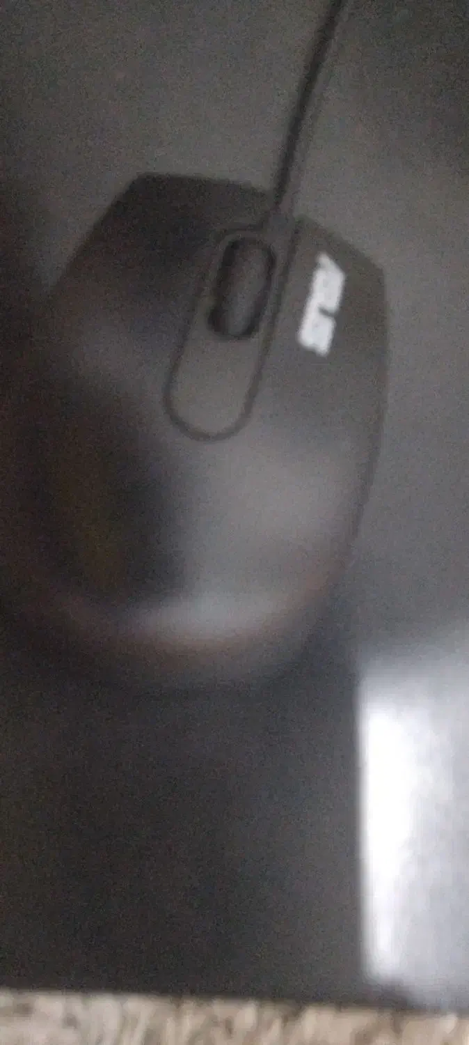 موس عسلی لبتاب|قطعات و لوازم جانبی رایانه|پرند, فاز ۵|دیوار