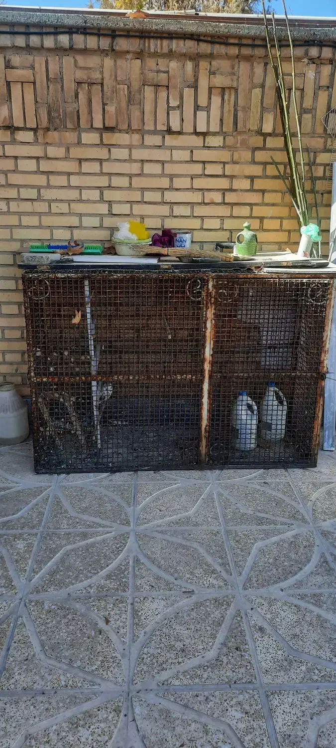 قفس آهنی|لوازم جانبی حیوانات|مهاجران, |دیوار