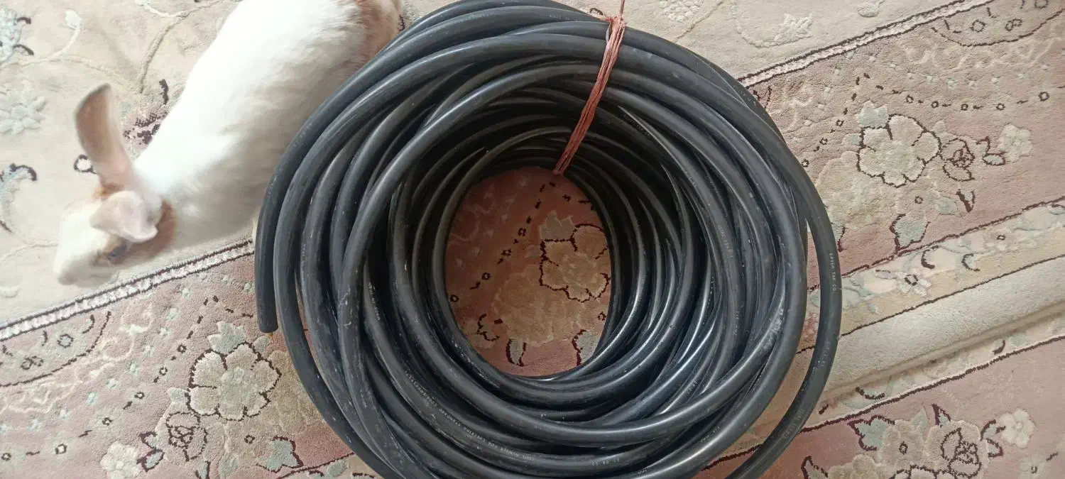 کابل 3*6|مصالح و تجهیزات ساختمان|بیرجند, |دیوار