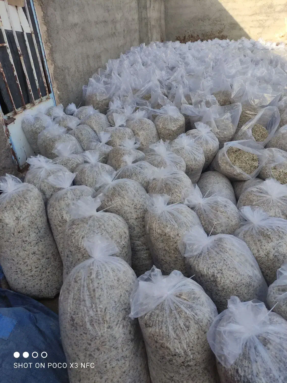 تفاله چقندر|لوازم جانبی حیوانات|فردوس (خراسان), |دیوار