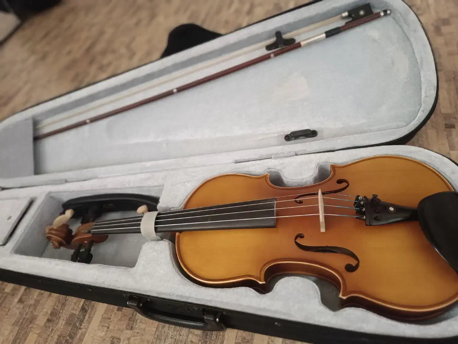 ویالون تی اف سایز ۴/۴|ویولن|شیراز, دشت چنار|دیوار