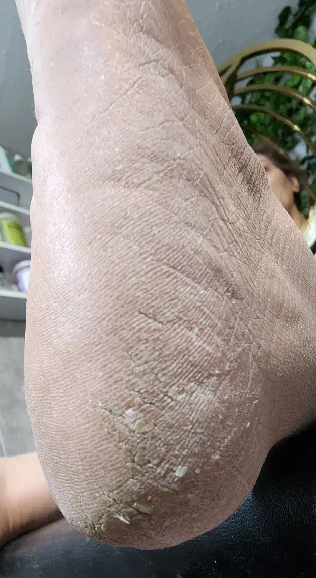 آموزش اسپا و پدیکور در آموزشگاه فنی حرفه ای|خدمات آرایشگری و زیبایی|شیراز, قصرالدشت|دیوار