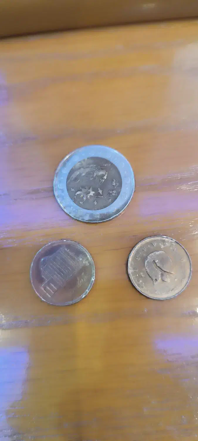 سکه|کلکسیون سکه، تمبر، اسکناس|رشت, گلسار|دیوار