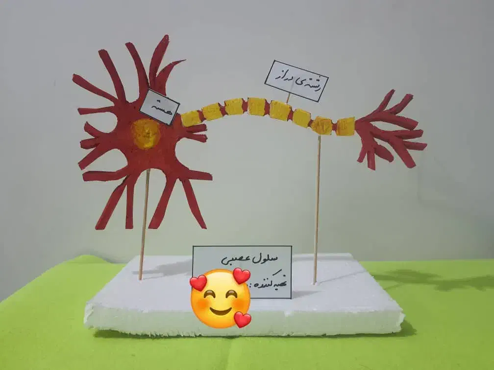 کاردستی دانش اموزی|لوازم التحریر|برازجان, |دیوار