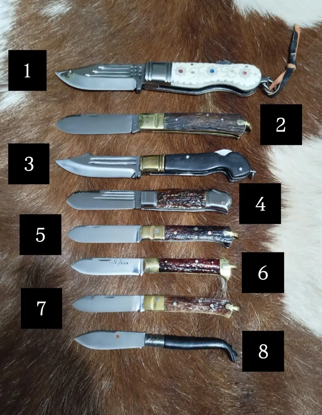 انواع چاقوهای فوق کلکسیونی دسته شاخ بکر و زیبا|کلکسیون اشیاء عتیقه|کرمانشاه, |دیوار