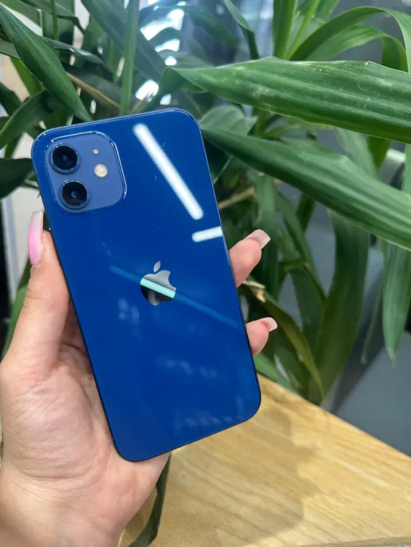 iphone12 normal اپل|موبایل|تهران, گیشا|دیوار