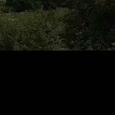 زمین 250متر باغسنگان با امتیاز آب دهنه ده متر|فروش زمین و ملک کلنگی|تربت جام, باغ سنگان سفلی|دیوار