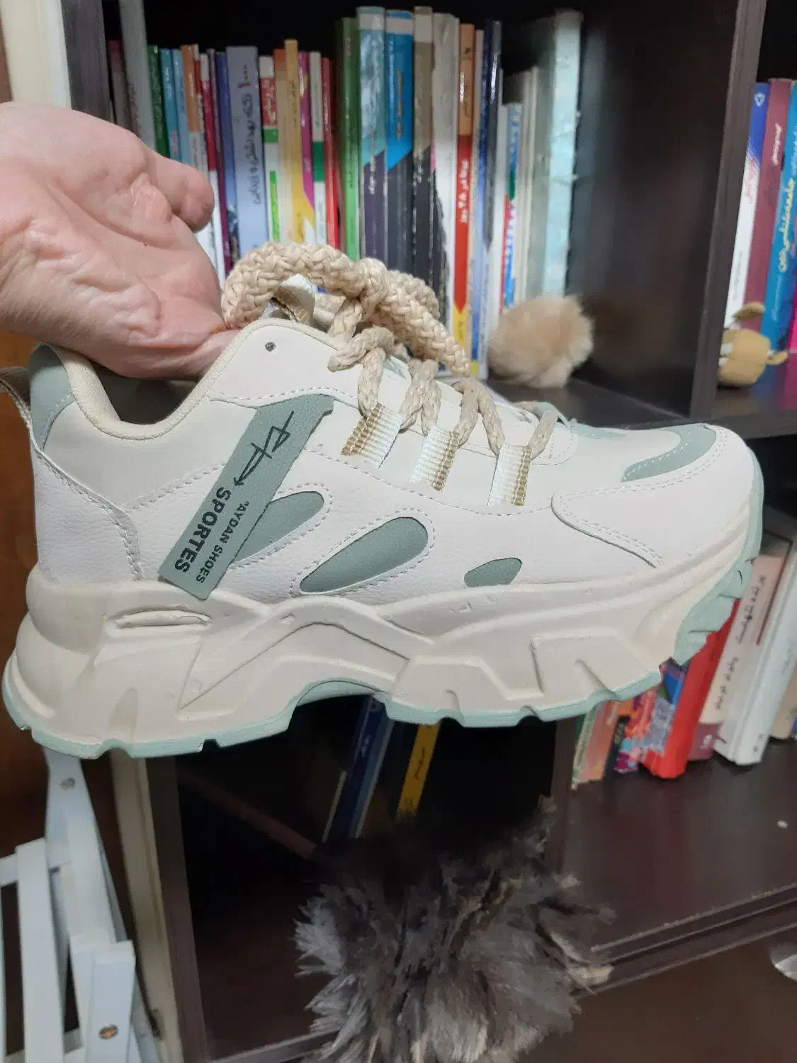 کفش کتونی|کیف، کفش، کمربند|اسفراین, |دیوار