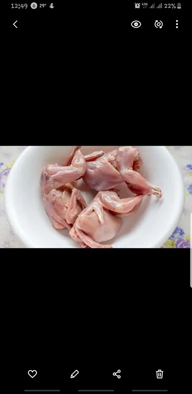 بلدرچین نرجوان ارگانیک (گوشت گرم ارگانیک بلدرچین )|حیوانات مزرعه|مشهد, کوشک مهدی|دیوار