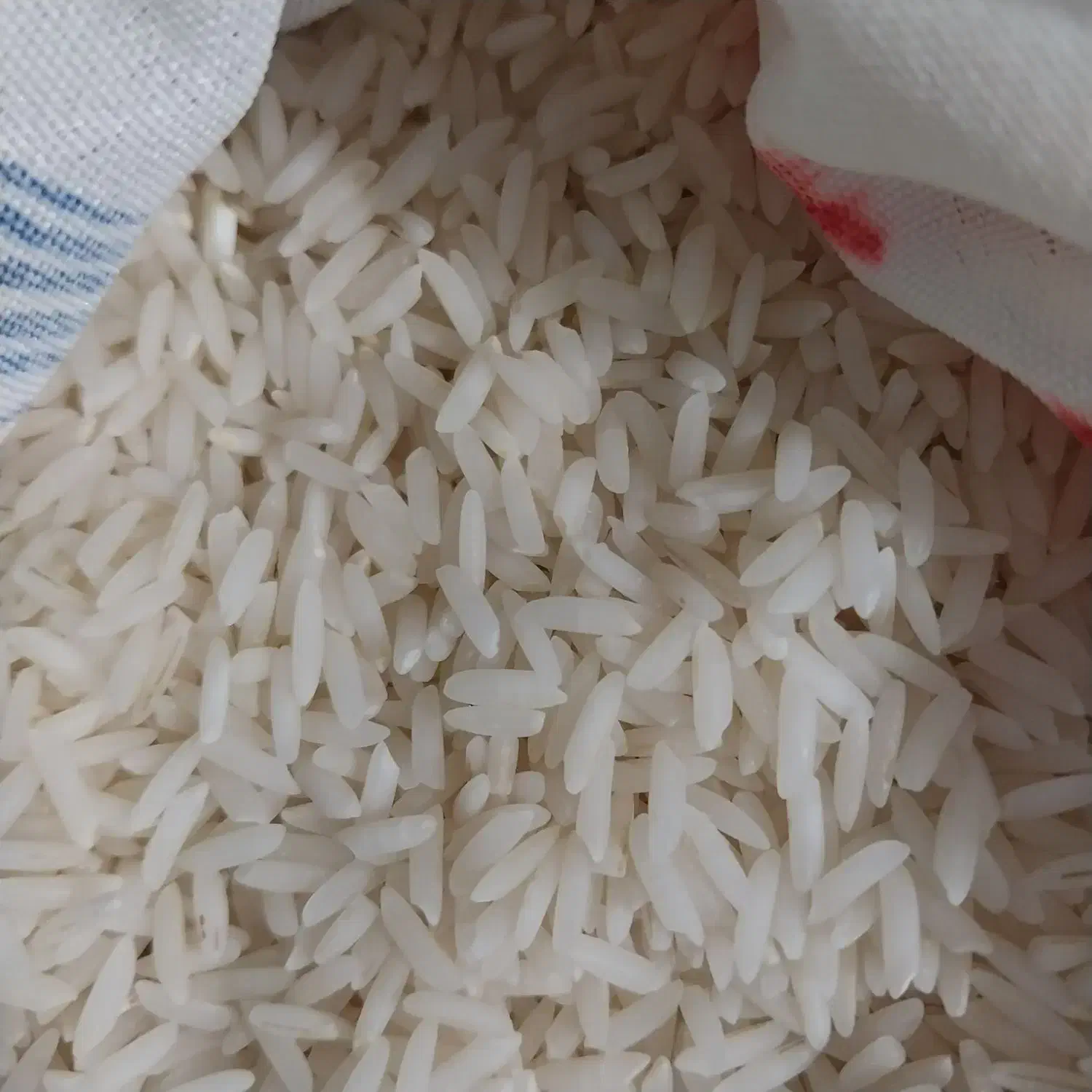 برنج|خوردنی و آشامیدنی|کوچصفهان, |دیوار