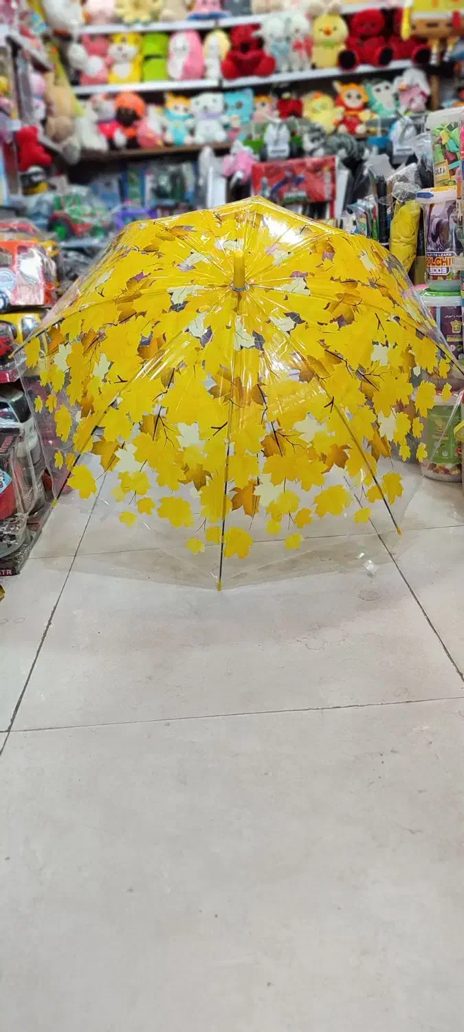 حراج چتر|عمدهفروشی|بوکان, |دیوار