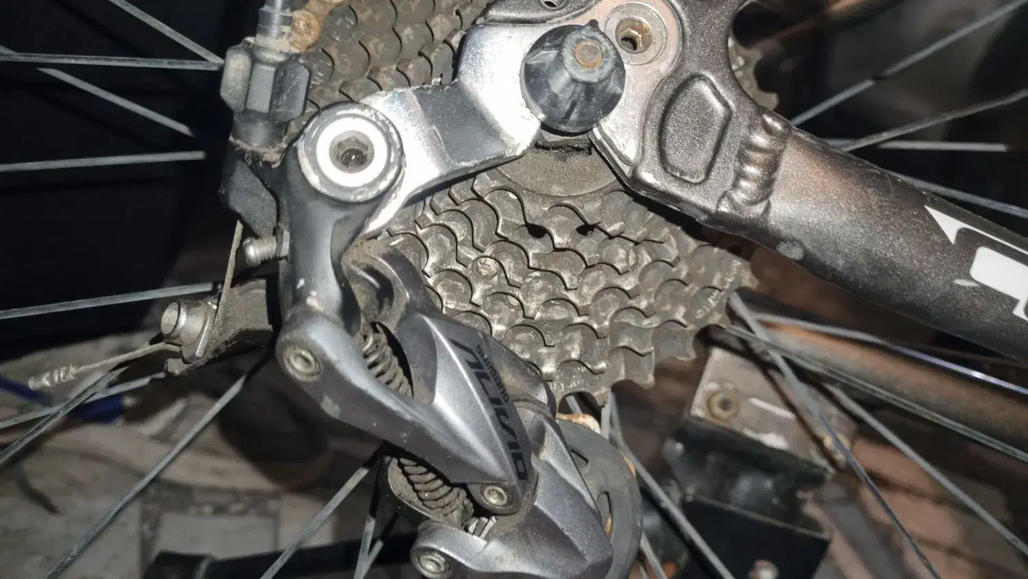 دوچرخه colnago|دوچرخه، اسکیت، اسکوتر|نوشهر, |دیوار