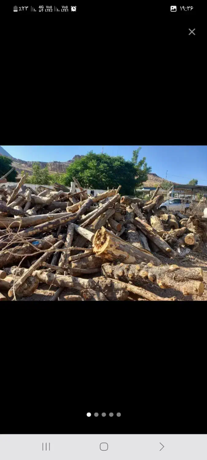 خرید و برش چوب.تیلر زدن|خدمات باغبانی و درختکاری|دورود, |دیوار