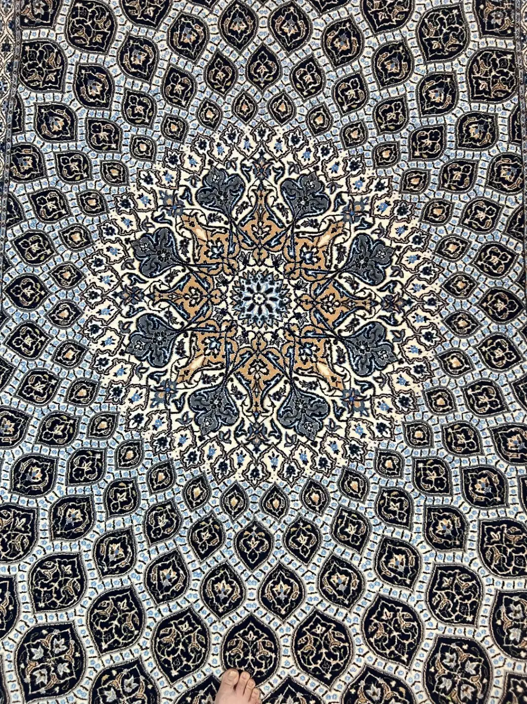 فرش دستباف نایین|فرش|اصفهان, فرح آباد|دیوار