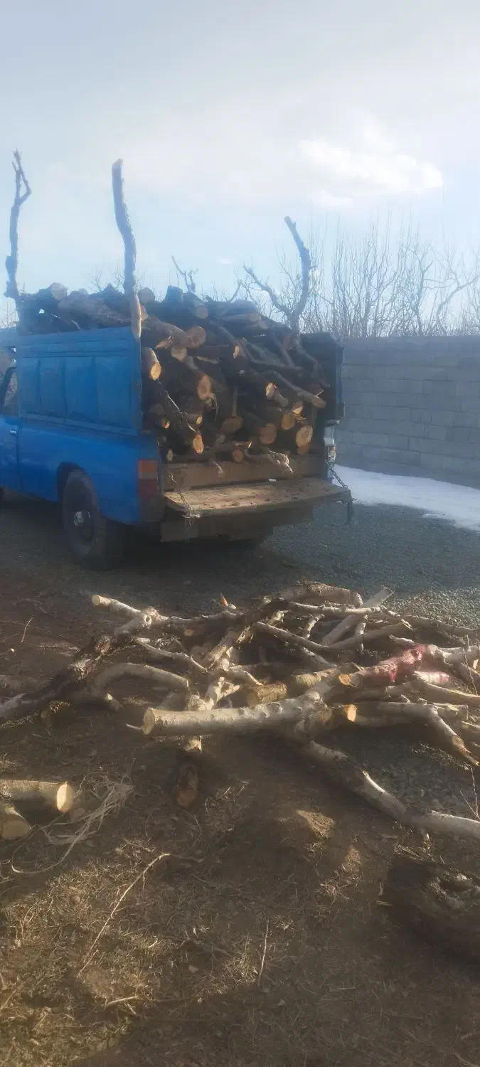 خرید چوب|خدمات باغبانی و درختکاری|ارومیه, |دیوار