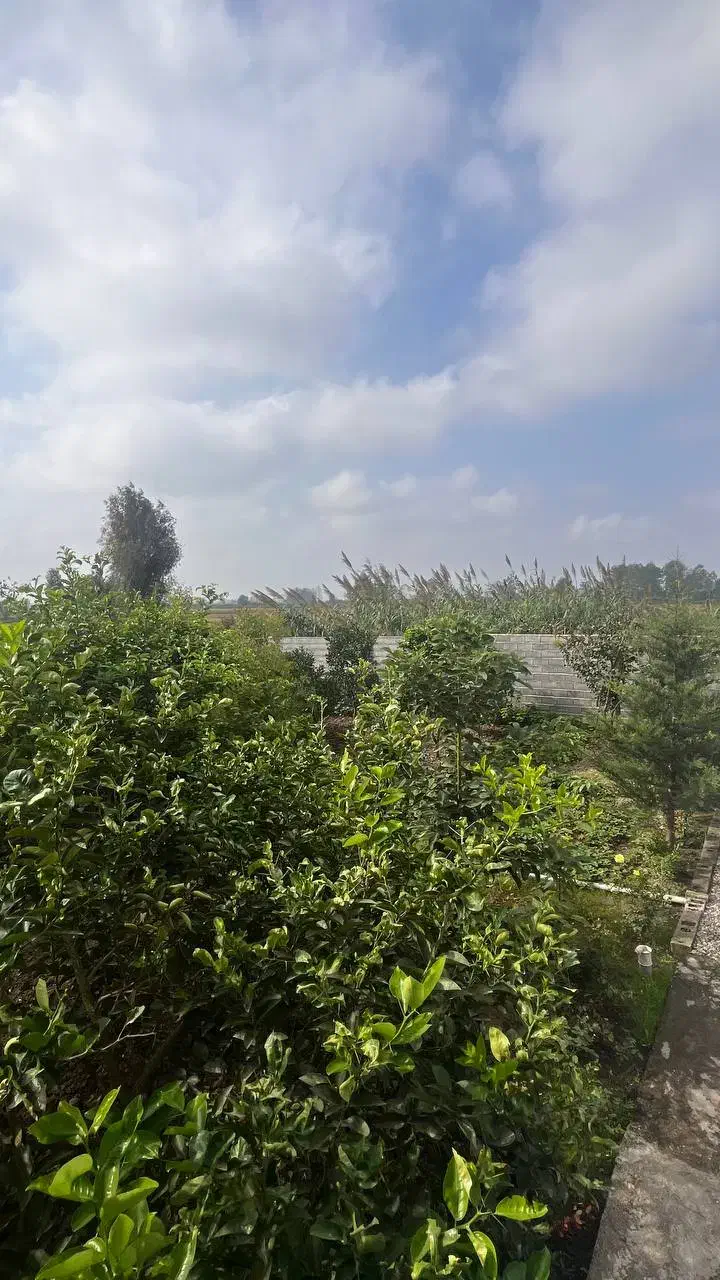 اقساط ۲۰ماهه بدون بهره /سنددار/ش مال|فروش زمین و ملک کلنگی|تهران, صادقیه|دیوار