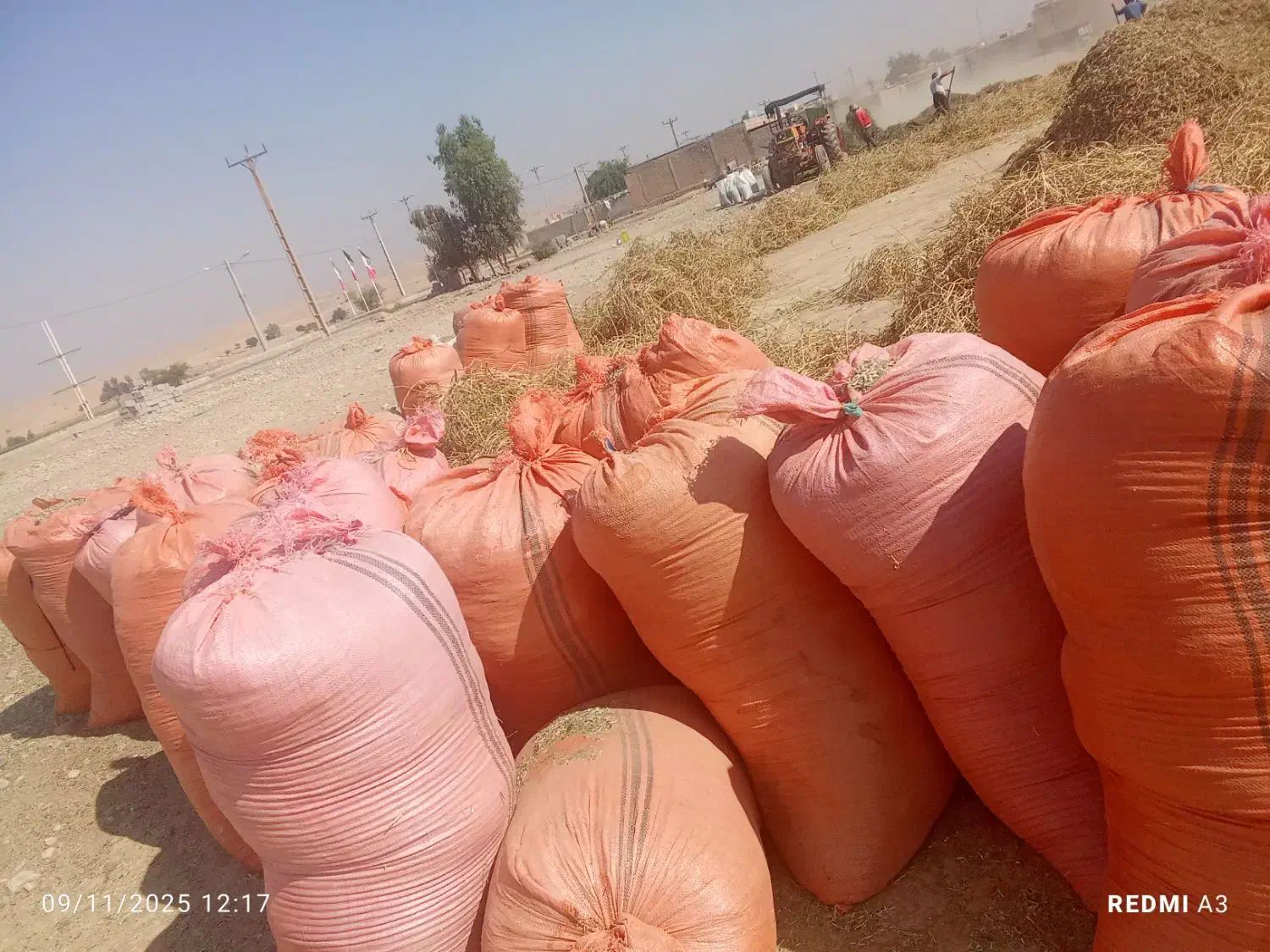 کاه ماش|عمده‌فروشی|اندیمشک, |دیوار