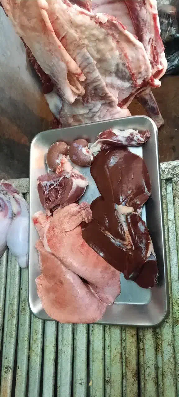 ذبح و سلاخی گوسفند. مرند وحومه|خدمات پذیرایی، مراسم|مرند, |دیوار