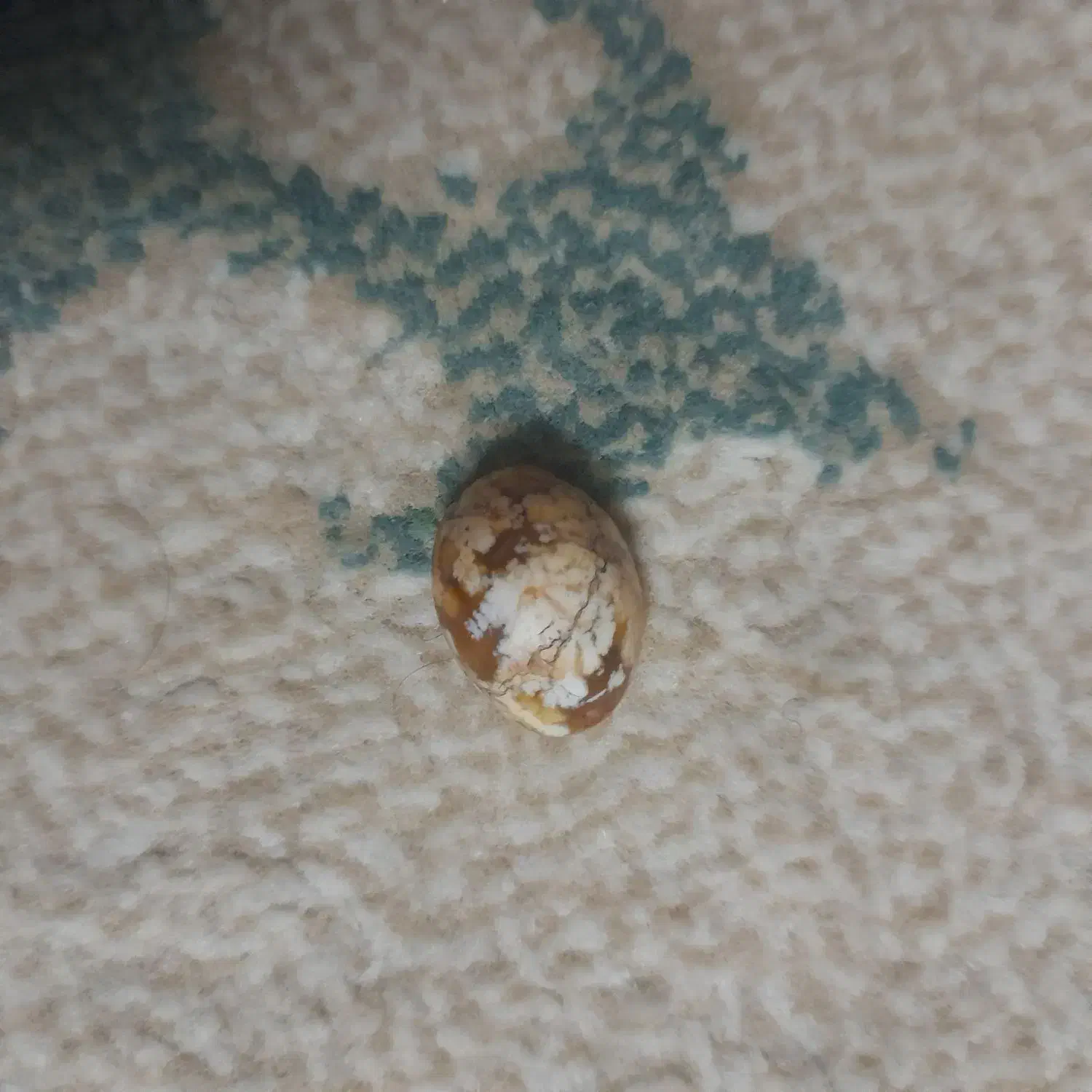 سنگ انگشتر|جواهرات|یزد, |دیوار