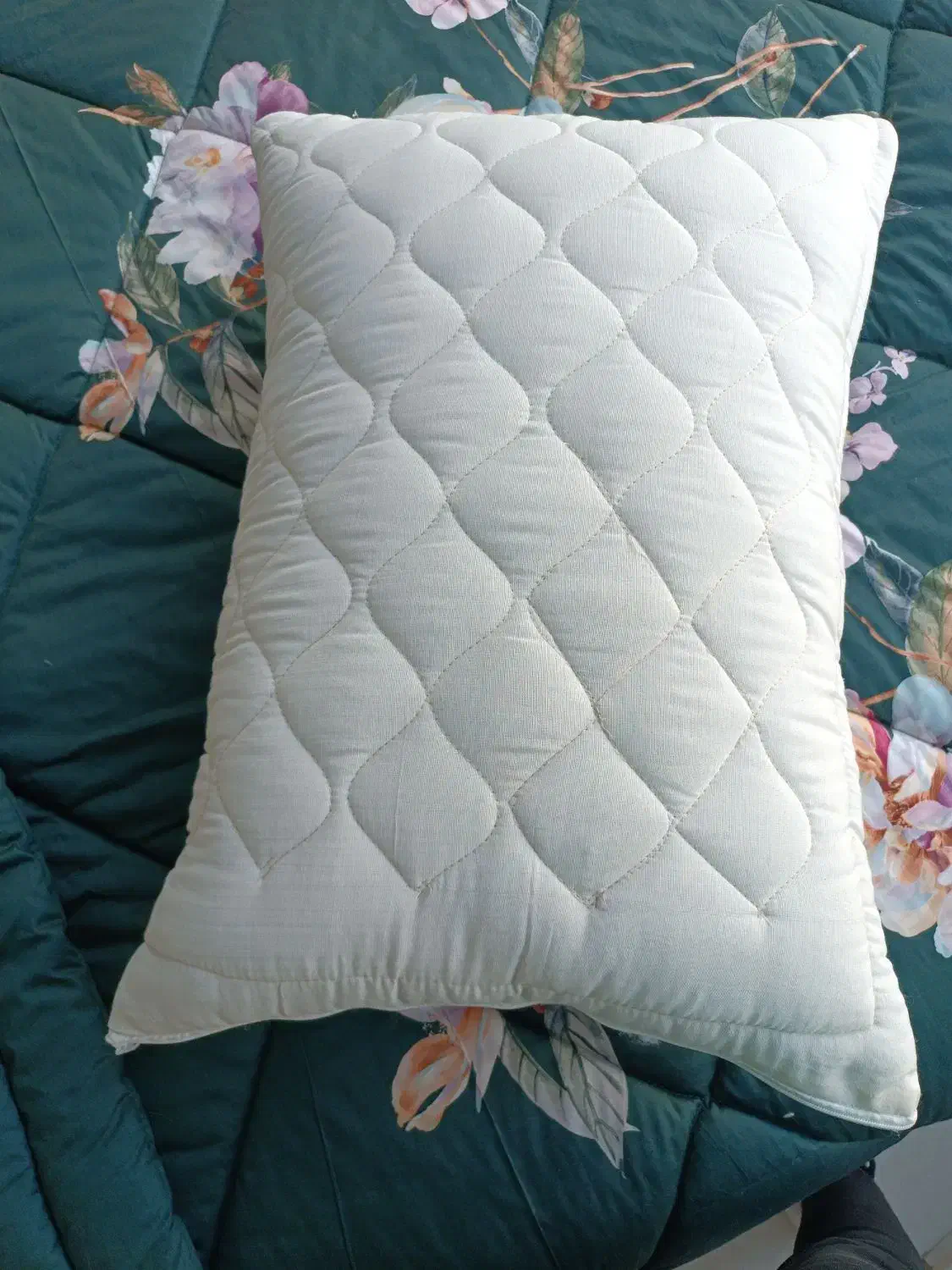 بالش|رختخواب، بالش، پتو|خوی, |دیوار